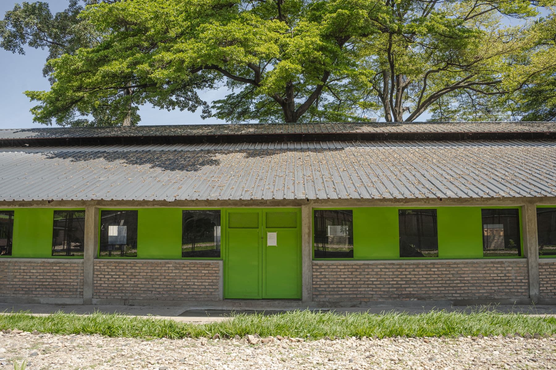 Modern Orora poultry houses built to the Orora standard