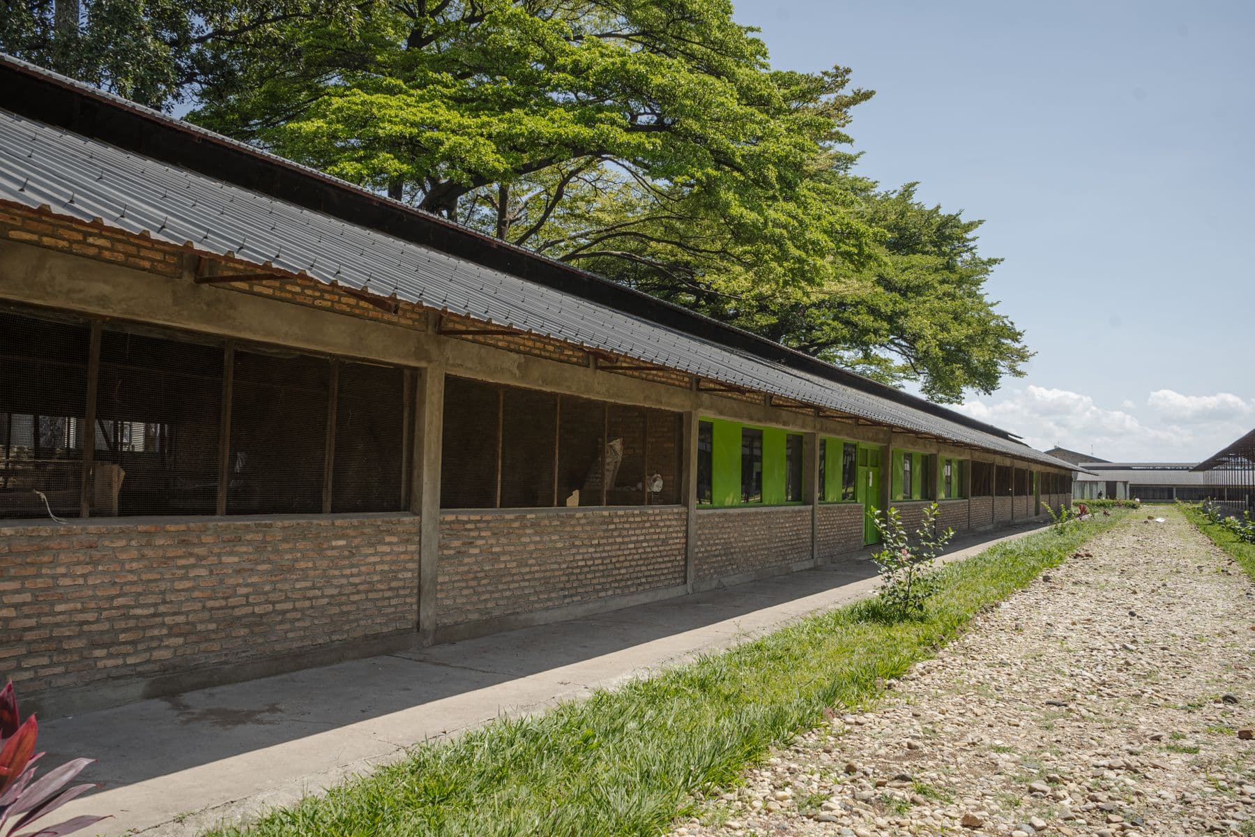 Long modern poultry barn operated to the Orora standard